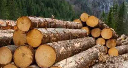 Commercial wood supply Services